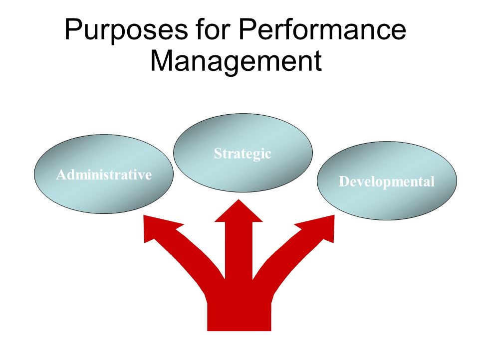 Purposes of performance management
